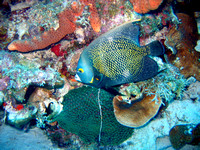 Curaçao
